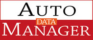 servizi auto data manager