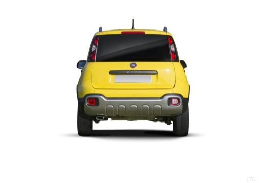 Foto FIAT Panda 1.0 firefly hybrid Cross s&s 70cv 5p.ti