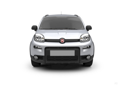 Foto FIAT Panda My25 1.0 70cv Hybrid Panda