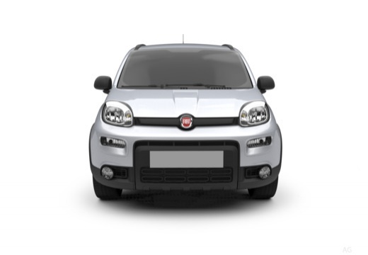 Foto FIAT Panda 1.0 firefly hybrid s&s 70cv