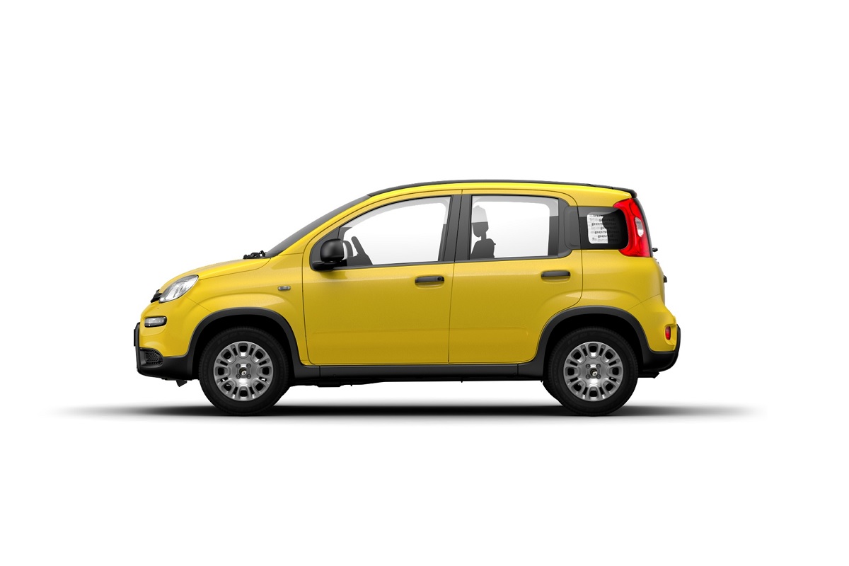 Panda III 2024