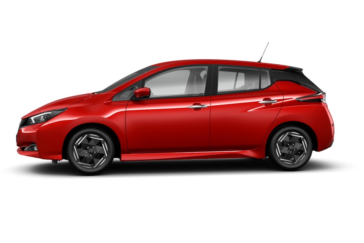 Leaf II 2022