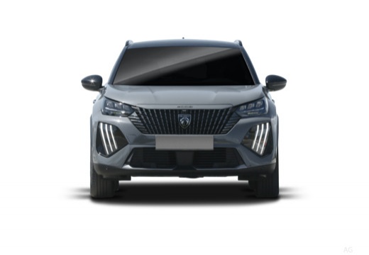 Foto PEUGEOT 2008 54 kWh Allure